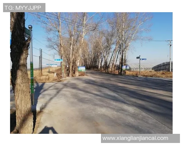 南京头排苏酒巅峰对阵引爆风云品鉴盛宴见证江苏白酒荣耀争锋