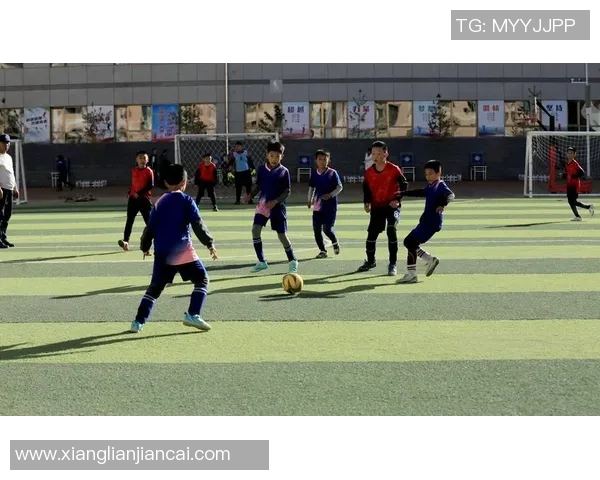 绿茵荣耀燃动青春激情探索足球世界背后的力量