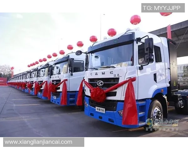 艾德森引领创新科技潮流推动未来智能化发展趋势与挑战解析